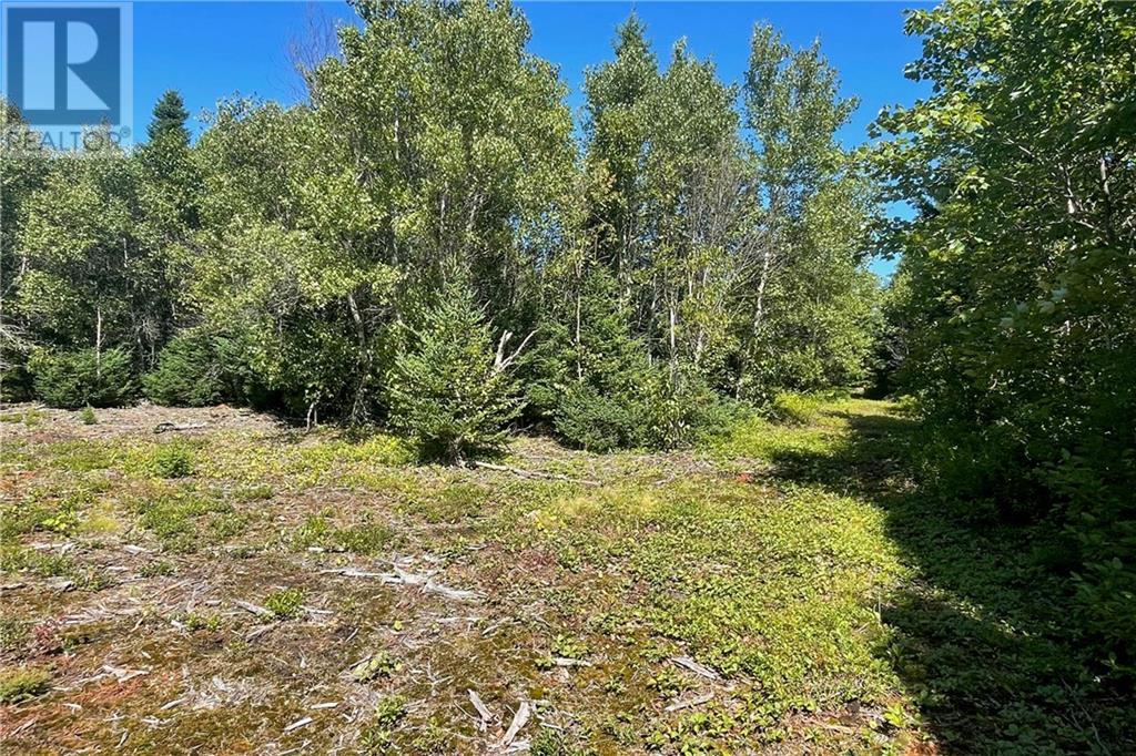 Lot Harvey Road, Little Shemogue, New Brunswick  E4M 3N4 - Photo 14 - M158528