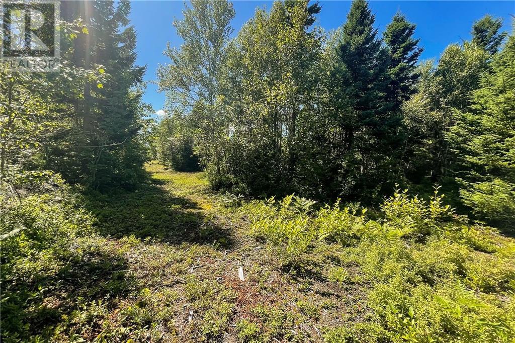 Lot Harvey Road, Little Shemogue, New Brunswick  E4M 3N4 - Photo 23 - M158528