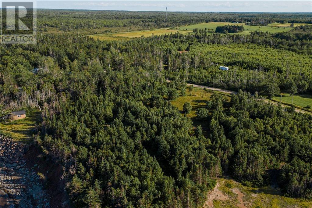 Lot Harvey Road, Little Shemogue, New Brunswick  E4M 3N4 - Photo 8 - M158528