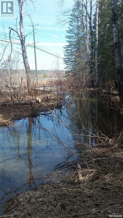 Lot Hwy 8 Mccarthy Flats, Ludlow, New Brunswick  E9C 2H8 - Photo 1 - NB097708