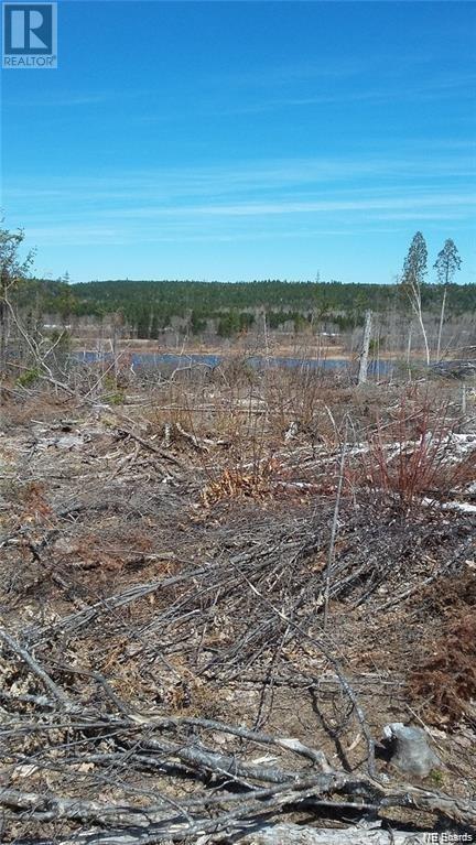 Lot Hwy 8 Mccarthy Flats, Ludlow, New Brunswick  E9C 2H8 - Photo 6 - NB097708