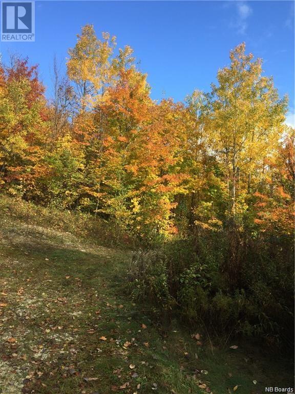 0 Harriet O'ree Road, Waterford, New Brunswick  E4E 5G3 - Photo 17 - NB097769