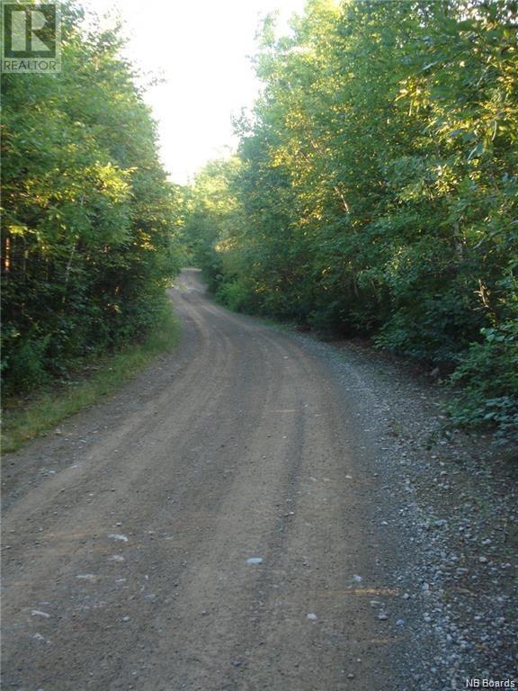 0 Harriet O'ree Road, Waterford, New Brunswick  E4E 5G3 - Photo 21 - NB097769