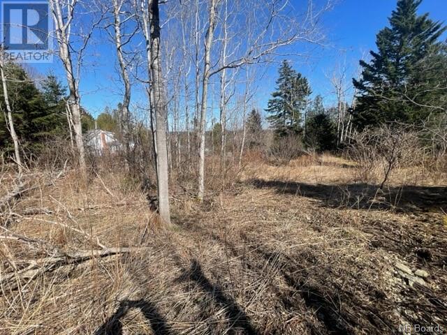 11 Seaside Drive, Back Bay, New Brunswick  E5C 1Y5 - Photo 10 - NB097811