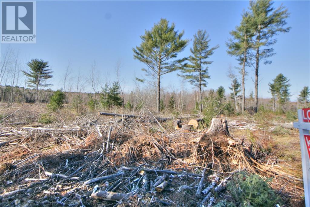 Lot 24-6 Route 510, Main River, New Brunswick  E4T 1V2 - Photo 4 - M158588