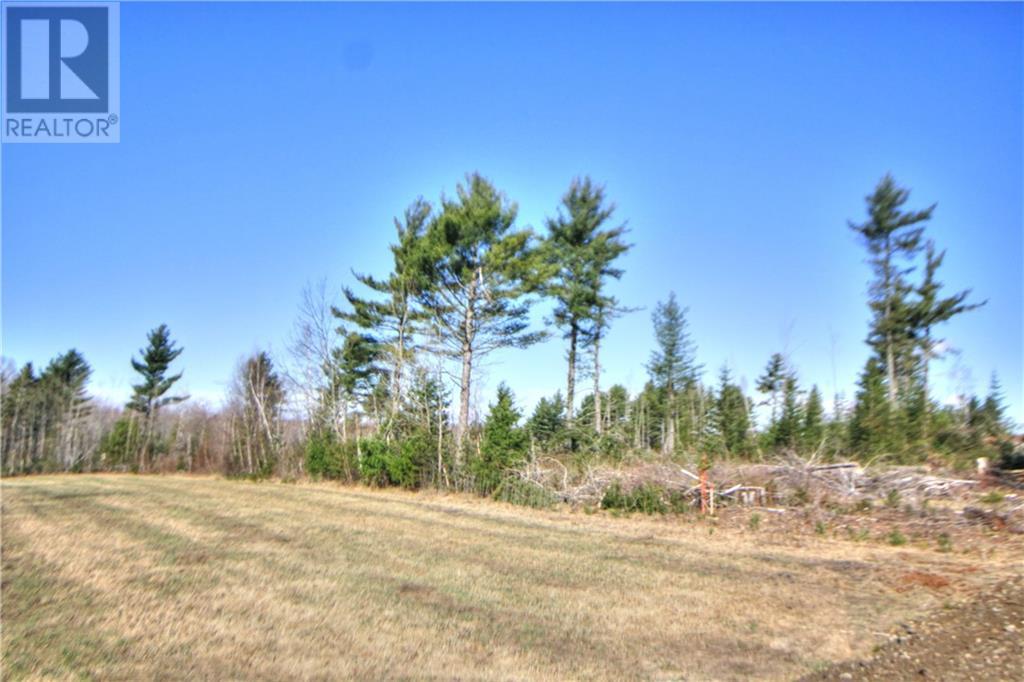 Lot 24-6 Route 510, Main River, New Brunswick  E4T 1V2 - Photo 5 - M158588