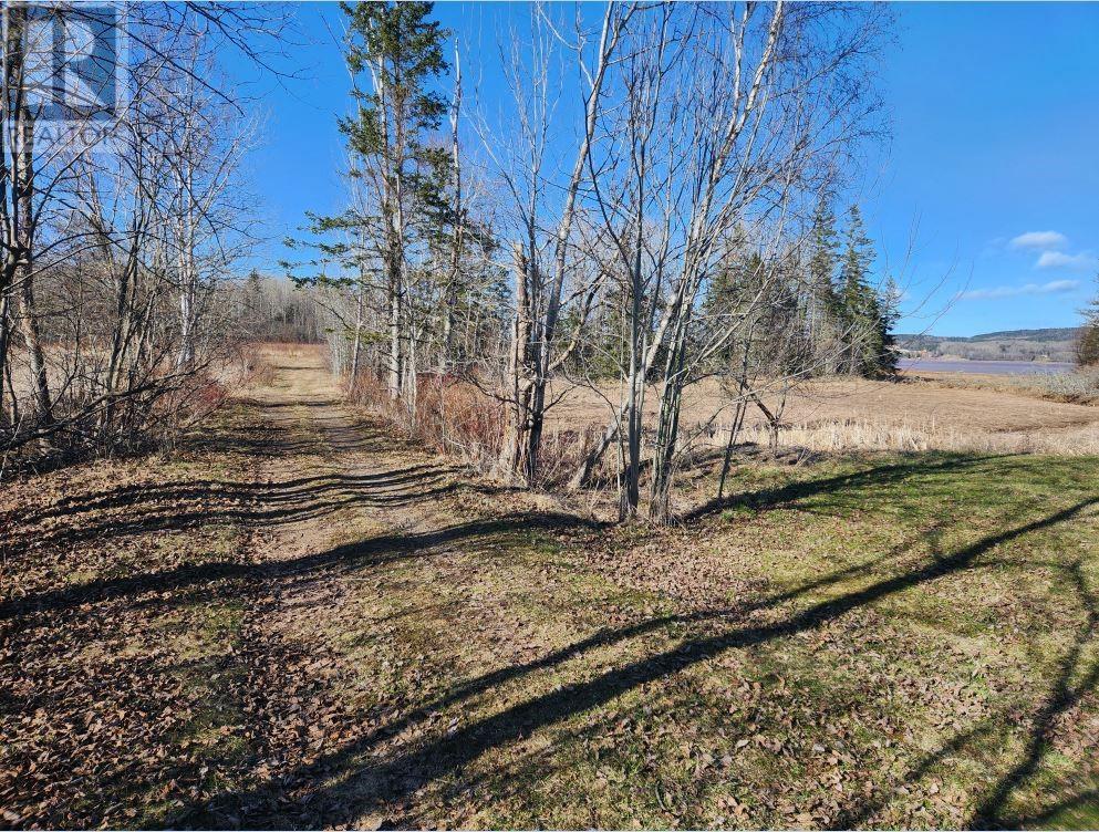 Lot Christopher Road, Edgetts Landing, New Brunswick  E4H 2X7 - Photo 7 - M158512