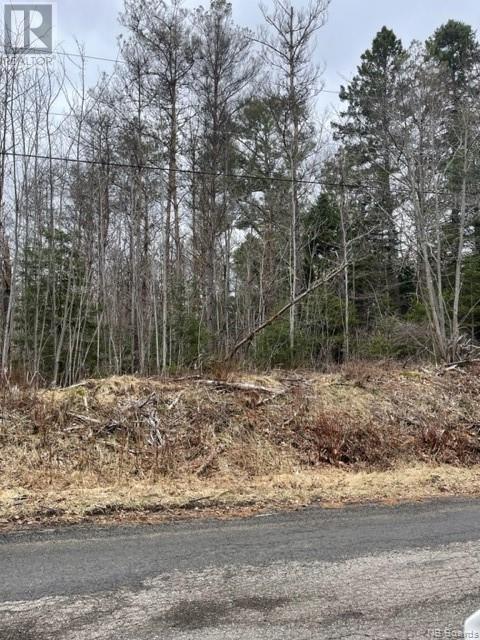 Lot 99-3 Wegesegum Road, Chipman, New Brunswick  E3A 2P9 - Photo 4 - NB097887