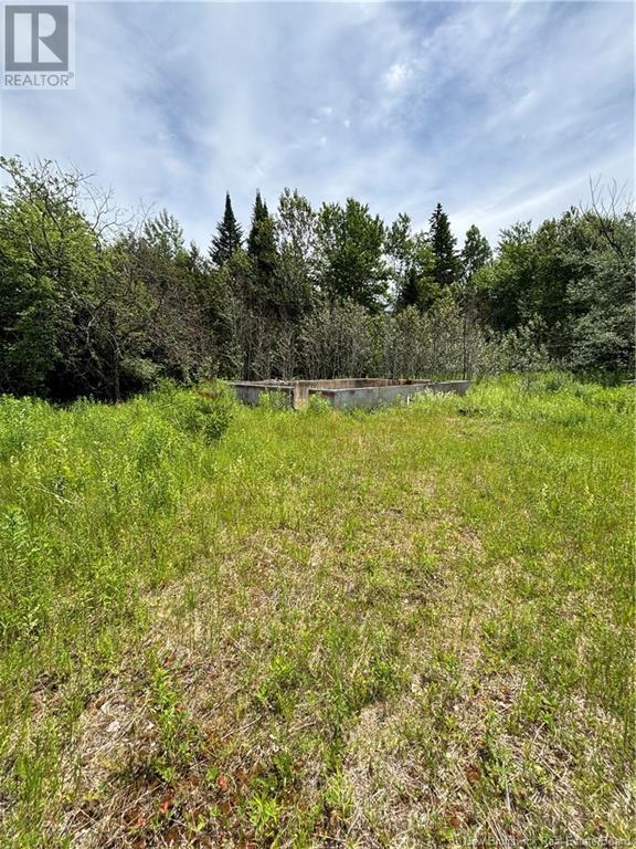 10 Bear Trap Point Road, Maxwell, New Brunswick  E7N 2M3 - Photo 2 - NB097975