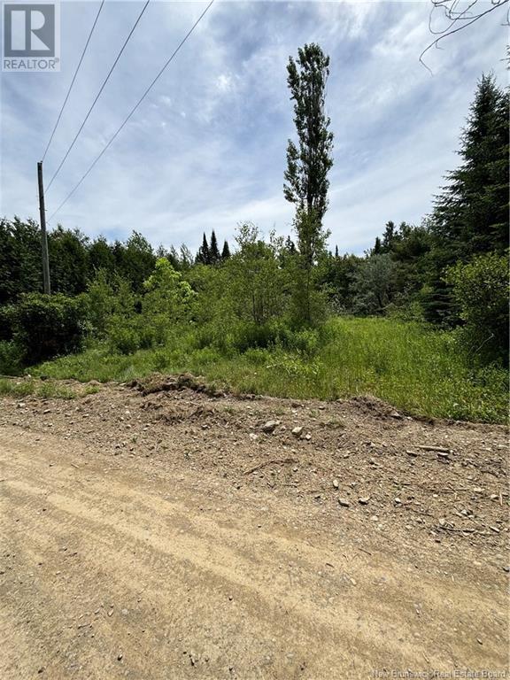 10 Bear Trap Point Road, Maxwell, New Brunswick  E7N 2M3 - Photo 3 - NB097975