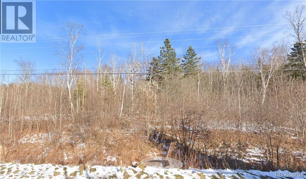 Rte 105 Route, Bear Island, New Brunswick  E6K 1X5 - Photo 1 - NB097982