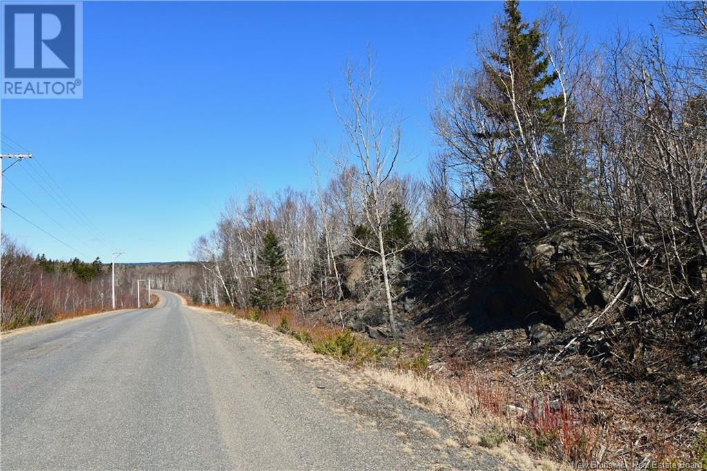 Fundy Drive, Wilsons Beach, New Brunswick  E5E 1X4 - Photo 13 - NB098052