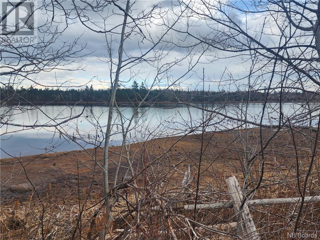 10.9 Acres North Black River Road, Black River Bridge, New Brunswick  E1N 5T3 - Photo 10 - NB098221