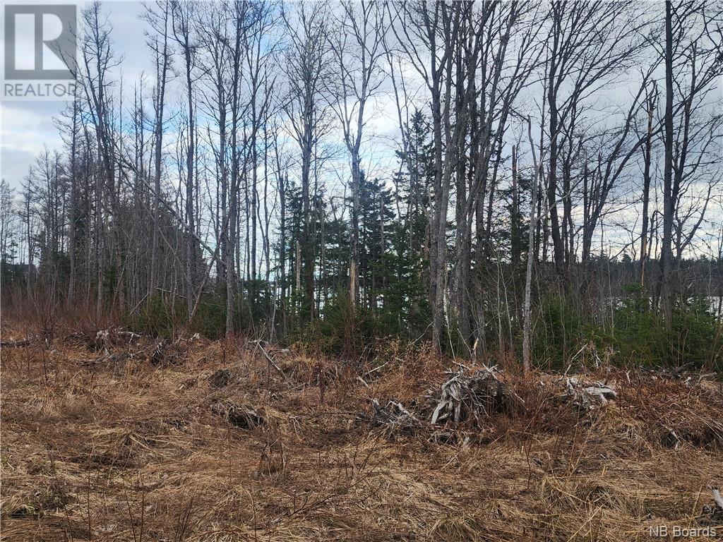 10.9 Acres North Black River Road, Black River Bridge, New Brunswick  E1N 5T3 - Photo 12 - NB098221