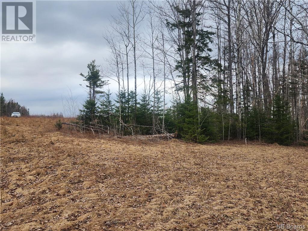 10.9 Acres North Black River Road, Black River Bridge, New Brunswick  E1N 5T3 - Photo 13 - NB098221