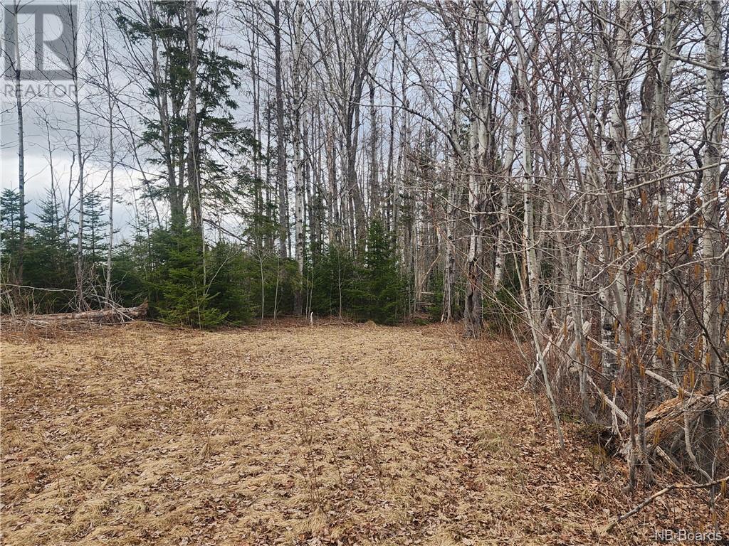 10.9 Acres North Black River Road, Black River Bridge, New Brunswick  E1N 5T3 - Photo 14 - NB098221