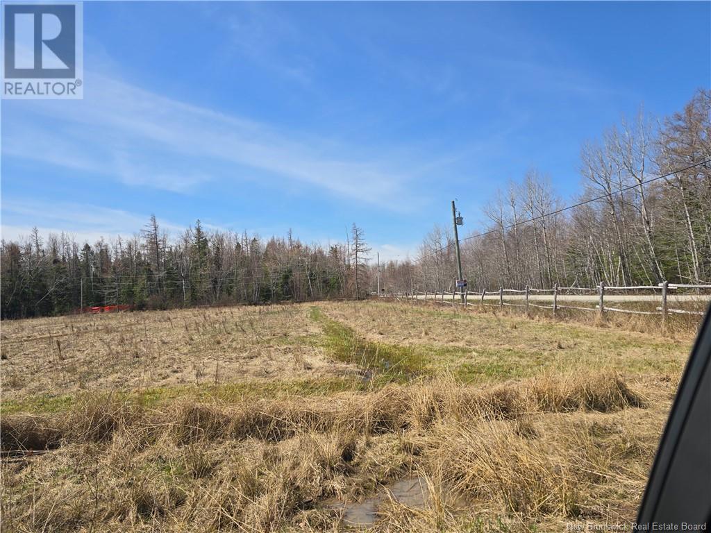 9 Acres North Black River Road, Black River Bridge, New Brunswick  E1N 5T3 - Photo 16 - NB098221