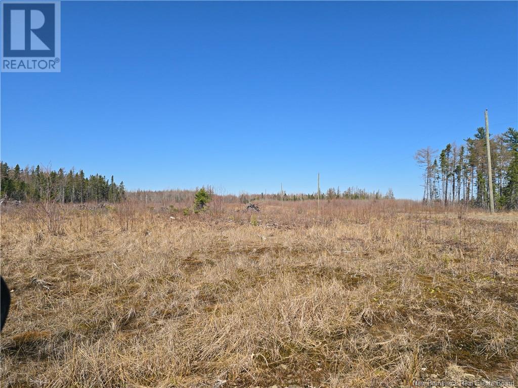 9 Acres North Black River Road, Black River Bridge, New Brunswick  E1N 5T3 - Photo 18 - NB098221