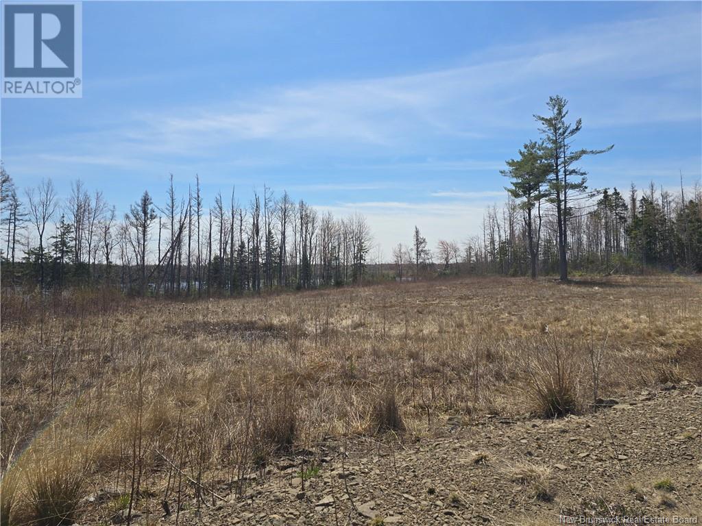 9 Acres North Black River Road, Black River Bridge, New Brunswick  E1N 5T3 - Photo 19 - NB098221