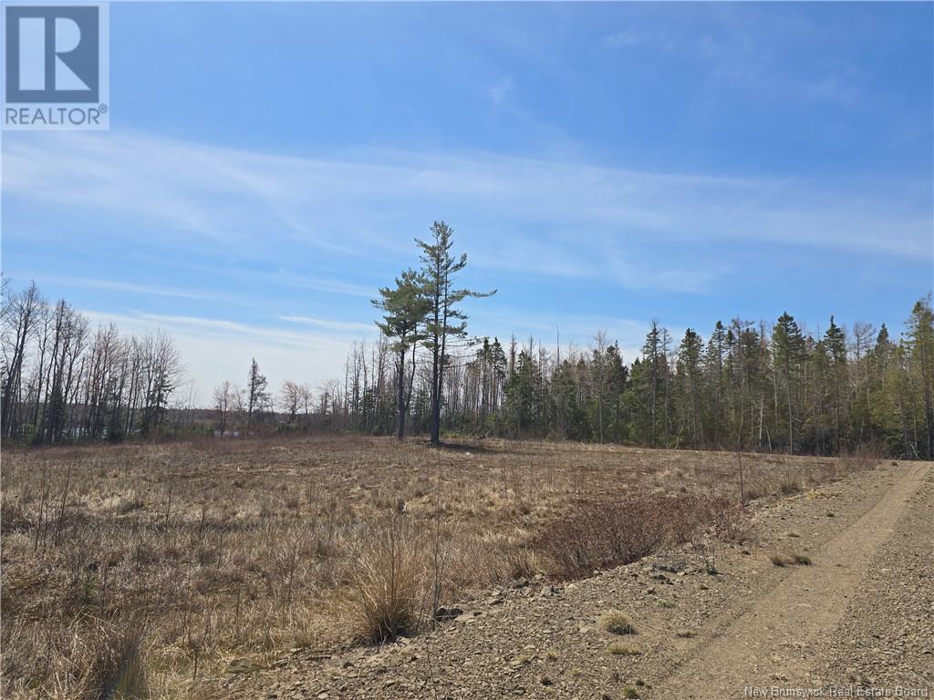 9 Acres North Black River Road, Black River Bridge, New Brunswick  E1N 5T3 - Photo 20 - NB098221