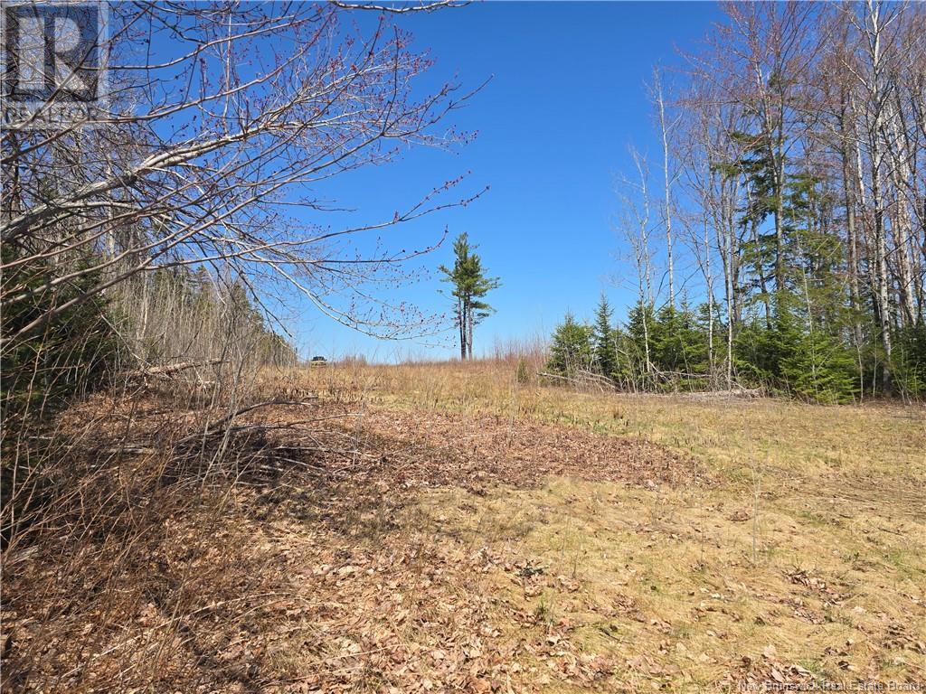 9 Acres North Black River Road, Black River Bridge, New Brunswick  E1N 5T3 - Photo 21 - NB098221