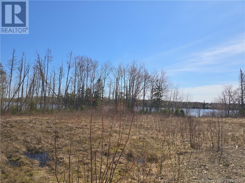 9 Acres North Black River Road, Black River Bridge, New Brunswick  E1N 5T3 - Photo 23 - NB098221