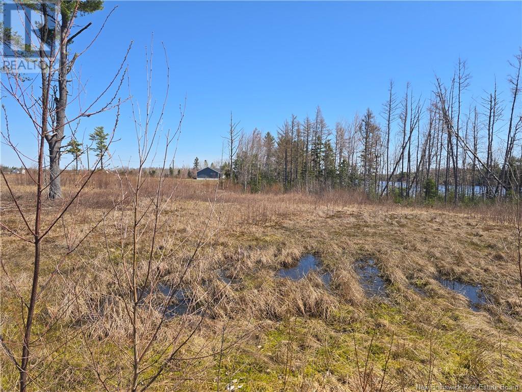 9 Acres North Black River Road, Black River Bridge, New Brunswick  E1N 5T3 - Photo 24 - NB098221