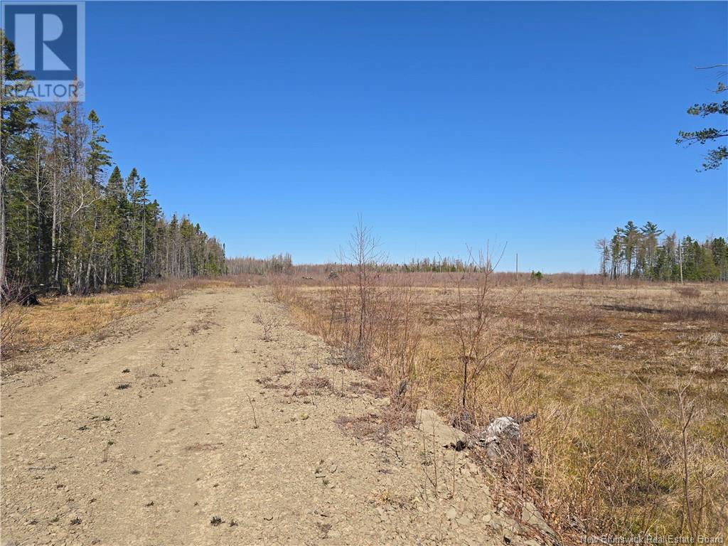 9 Acres North Black River Road, Black River Bridge, New Brunswick  E1N 5T3 - Photo 25 - NB098221