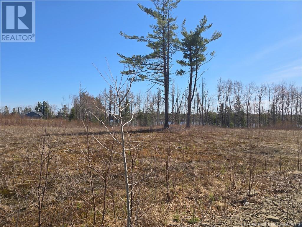 9 Acres North Black River Road, Black River Bridge, New Brunswick  E1N 5T3 - Photo 26 - NB098221