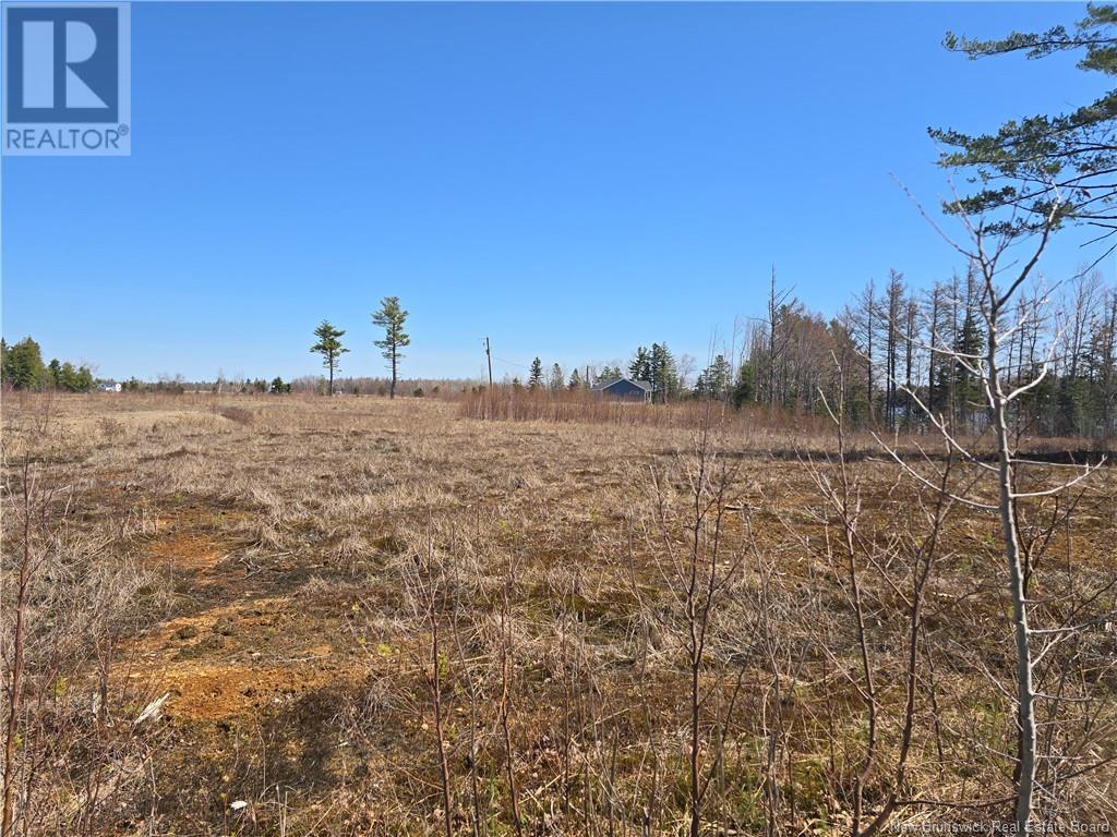 9 Acres North Black River Road, Black River Bridge, New Brunswick  E1N 5T3 - Photo 27 - NB098221