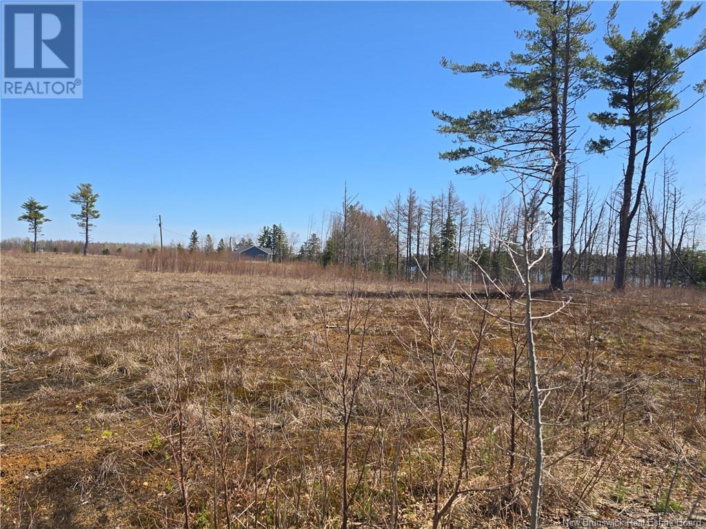 9 Acres North Black River Road, Black River Bridge, New Brunswick  E1N 5T3 - Photo 28 - NB098221
