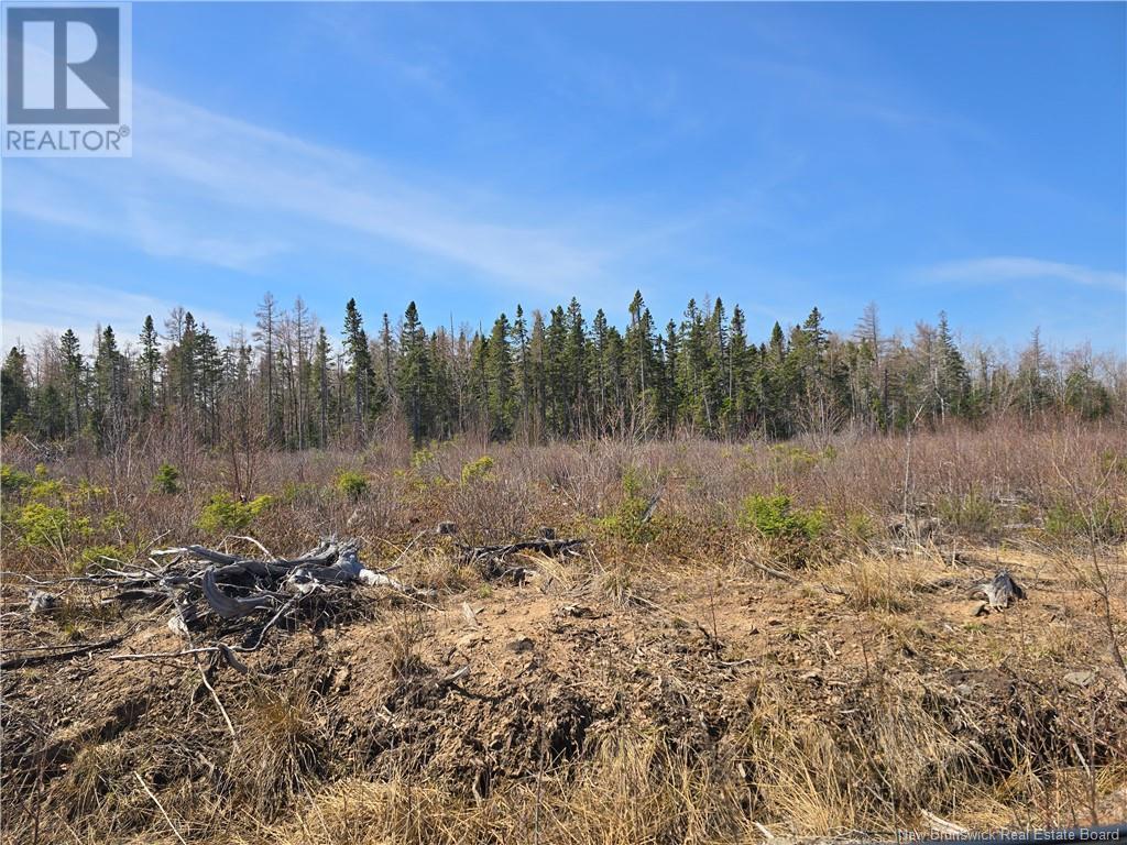 9 Acres North Black River Road, Black River Bridge, New Brunswick  E1N 5T3 - Photo 30 - NB098221