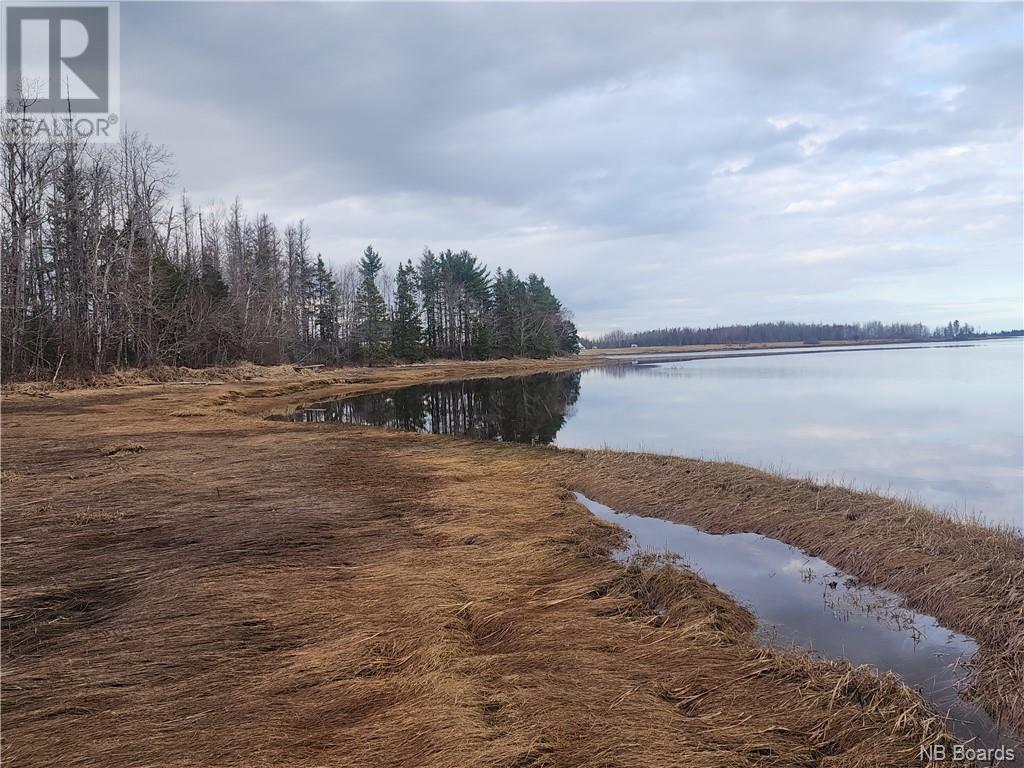 10.9 Acres North Black River Road, Black River Bridge, New Brunswick  E1N 5T3 - Photo 5 - NB098221