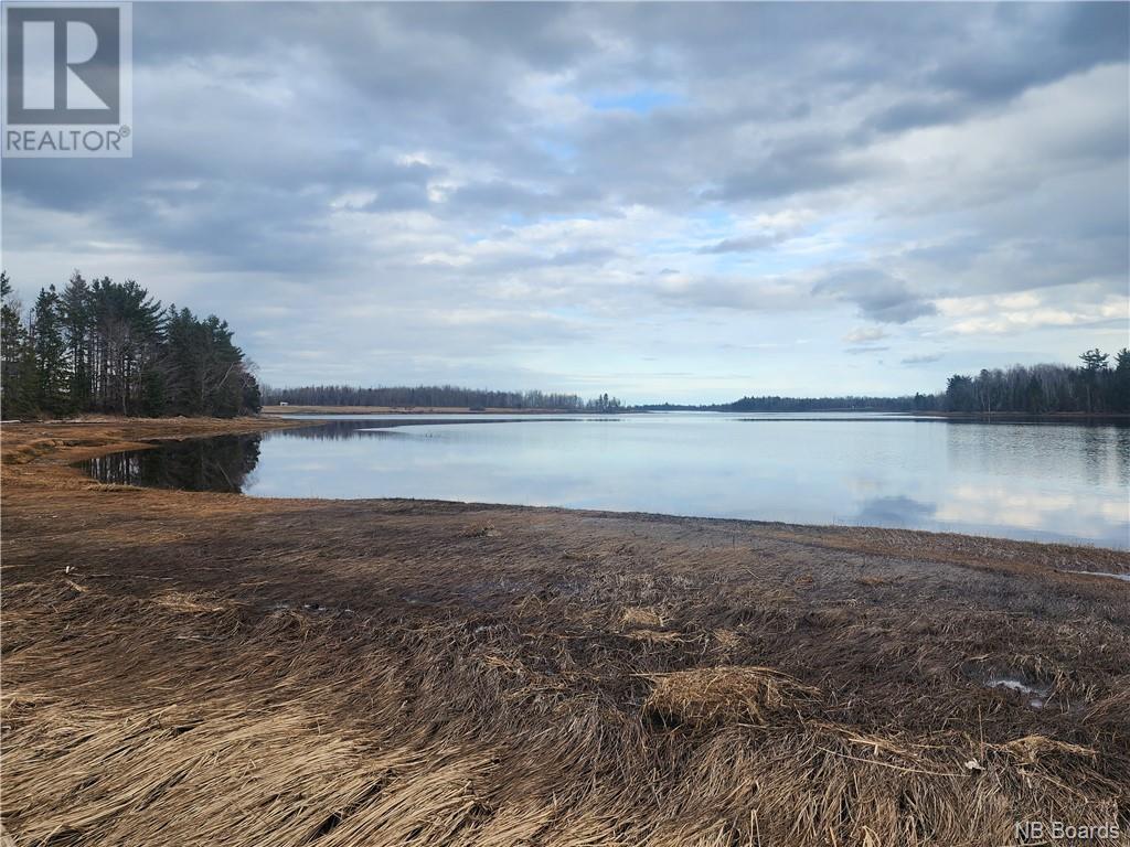 10.9 Acres North Black River Road, Black River Bridge, New Brunswick  E1N 5T3 - Photo 8 - NB098221