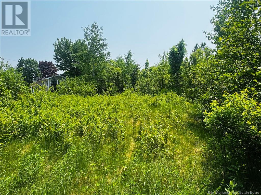Lot B 6 Goyette, Big River, New Brunswick  E2A 6R4 - Photo 10 - NB098231