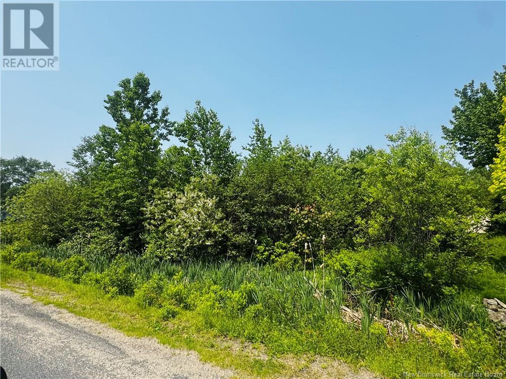 Lot B 6 Goyette, Big River, New Brunswick  E2A 6R4 - Photo 8 - NB098231