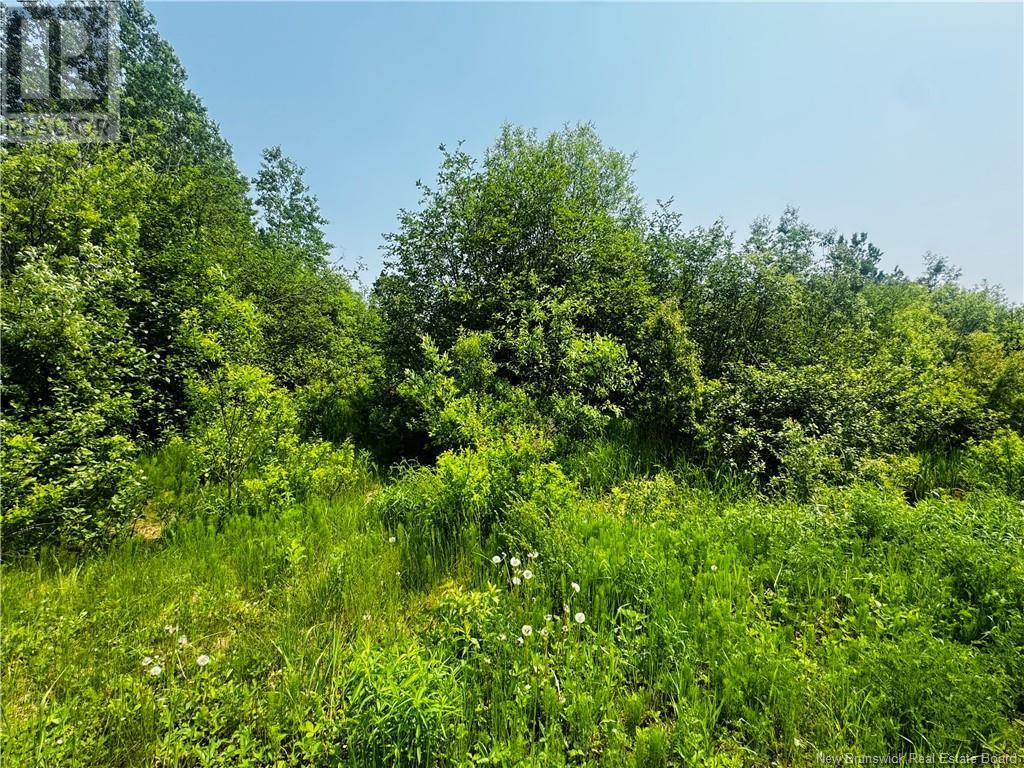 Lot B 6 Goyette, Big River, New Brunswick  E2A 6R4 - Photo 9 - NB098231