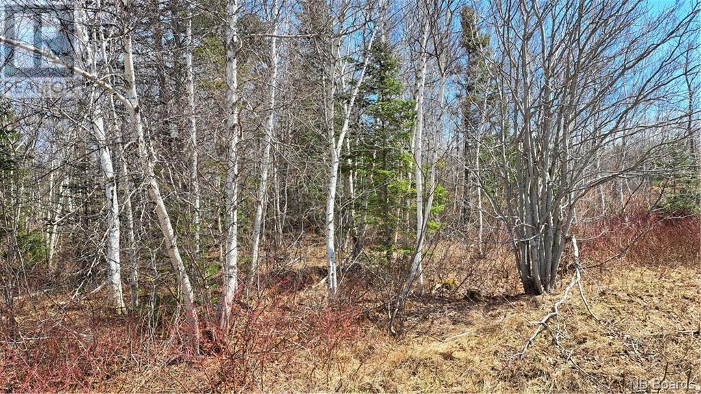 1.28 acres Chemin Four Roads, four roads, New Brunswick