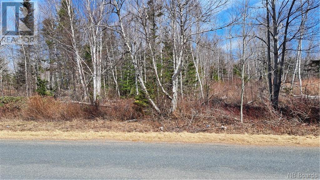 1.28 Acres Chemin Four Roads, Four Roads, New Brunswick  E8P 1E8 - Photo 3 - NB098157