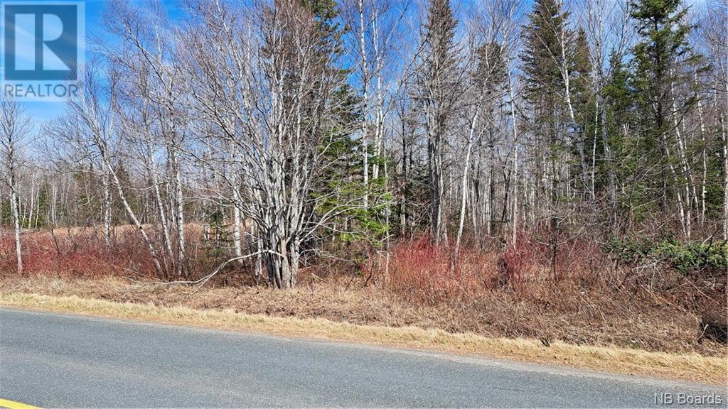 1.28 Acres Chemin Four Roads, Four Roads, New Brunswick  E8P 1E8 - Photo 4 - NB098157