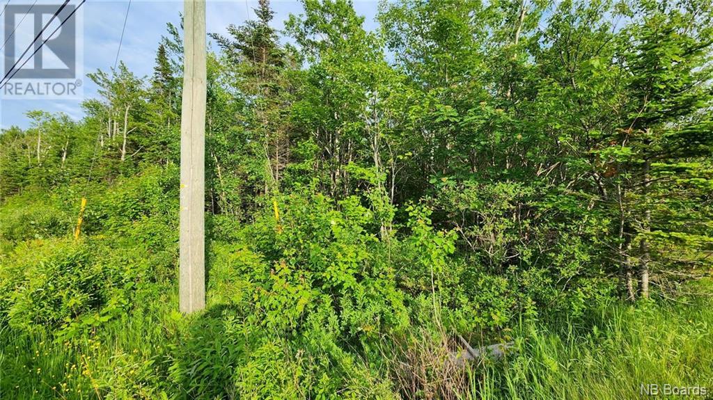 2.4 Acres Route 310, Lamèque, New Brunswick  E8T 1E7 - Photo 2 - NB097969