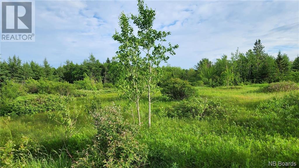 83 Acres Route 310, Lamèque, New Brunswick  E8T 1E7 - Photo 1 - NB097968