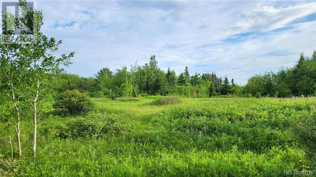 83 Acres Route 310, Lamèque, New Brunswick  E8T 1E7 - Photo 2 - NB097968