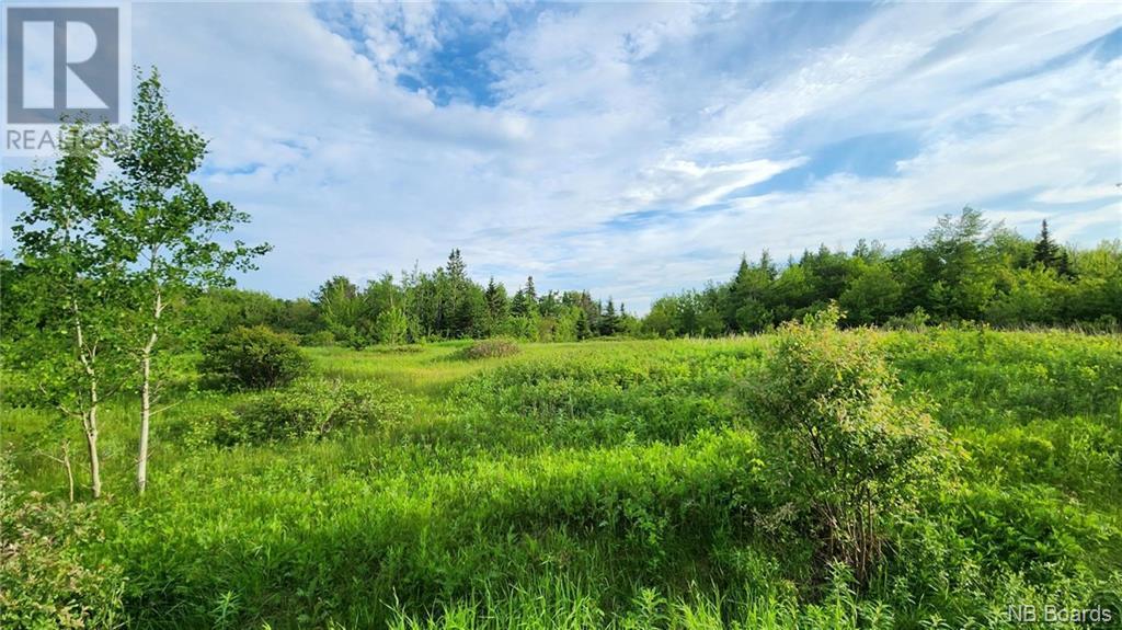 83 Acres Route 310, Lamèque, New Brunswick  E8T 1E7 - Photo 3 - NB097968