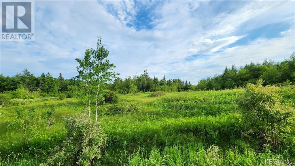 83 Acres Route 310, Lamèque, New Brunswick  E8T 1E7 - Photo 5 - NB097968