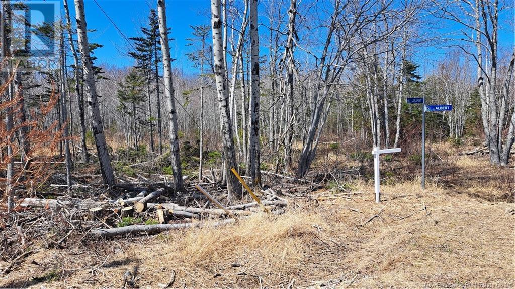 8.9hec-2 Ave Foret, grande-anse, New Brunswick