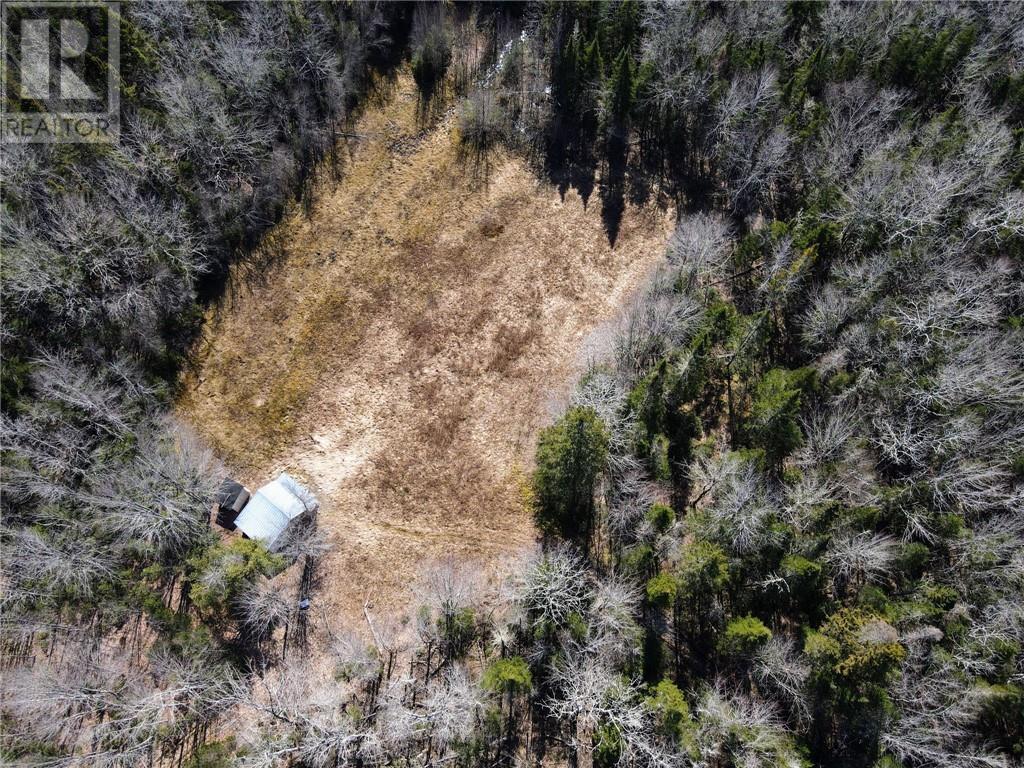 Lot Rte 112, Coles Island, New Brunswick  E4C 2v9 - Photo 15 - M158852