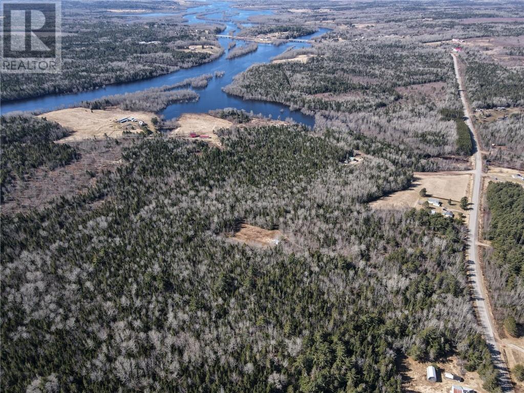 Lot Rte 112, Coles Island, New Brunswick  E4C 2v9 - Photo 5 - M158852