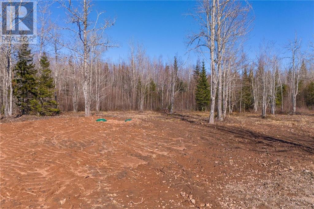 Lot 17-1 Collins Lake Road, Shemogue, New Brunswick  E4N 2M9 - Photo 2 - M158880