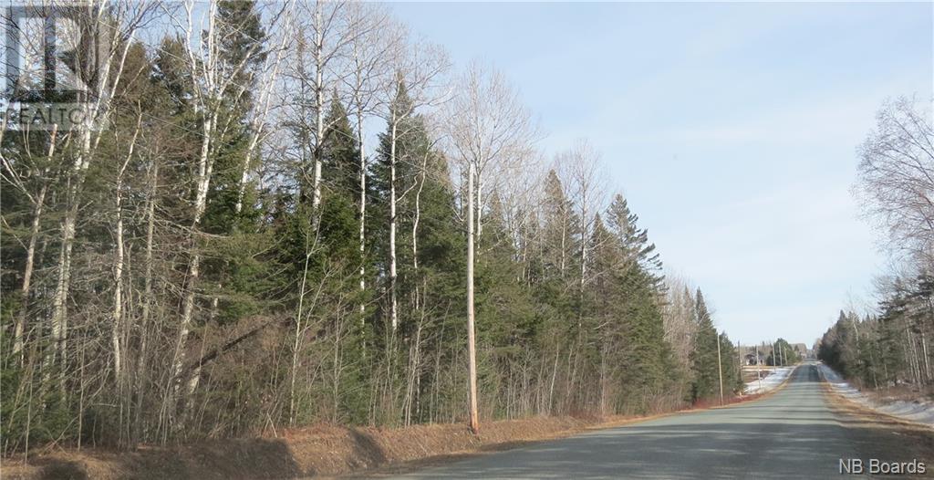 - Route 380, Bell Grove, New Brunswick  E7G 4E3 - Photo 2 - NB098358